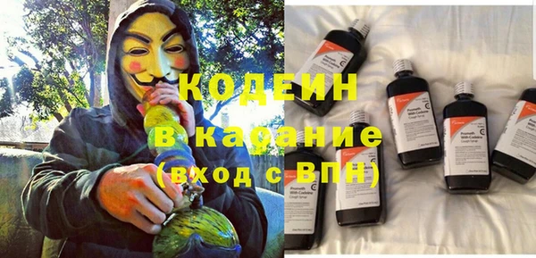 стаф Няндома