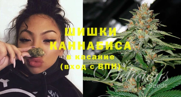 мдпв Нягань