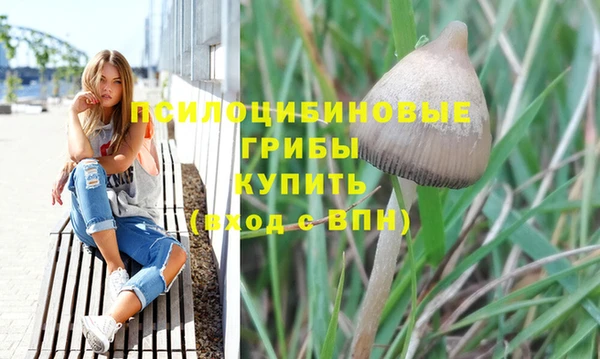 стаф Няндома
