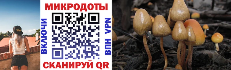 Галлюциногенные грибы MAGIC MUSHROOMS  Купить  Ртищево 